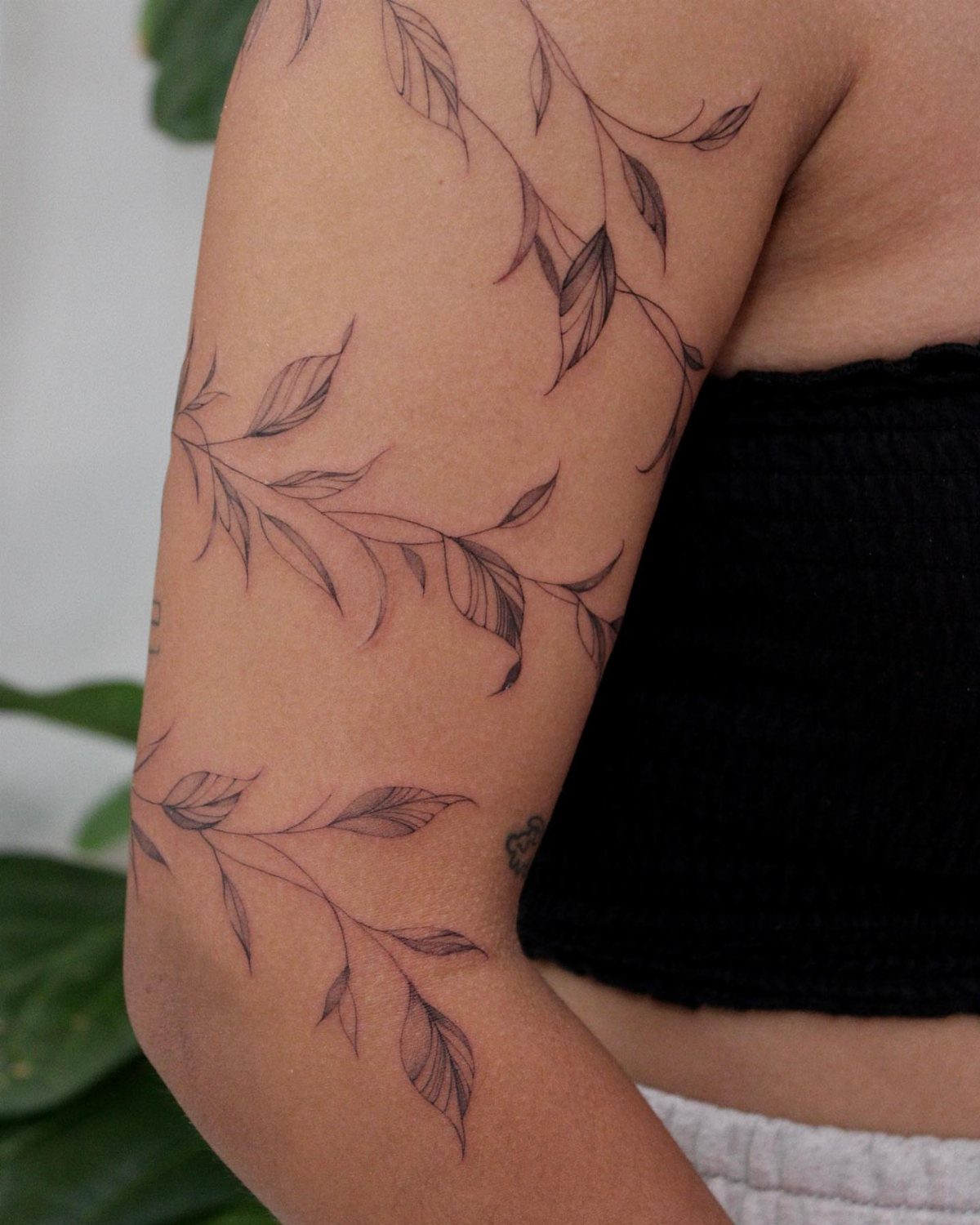Black ink vine tattoos with delicate leaves winding around a person's arm.