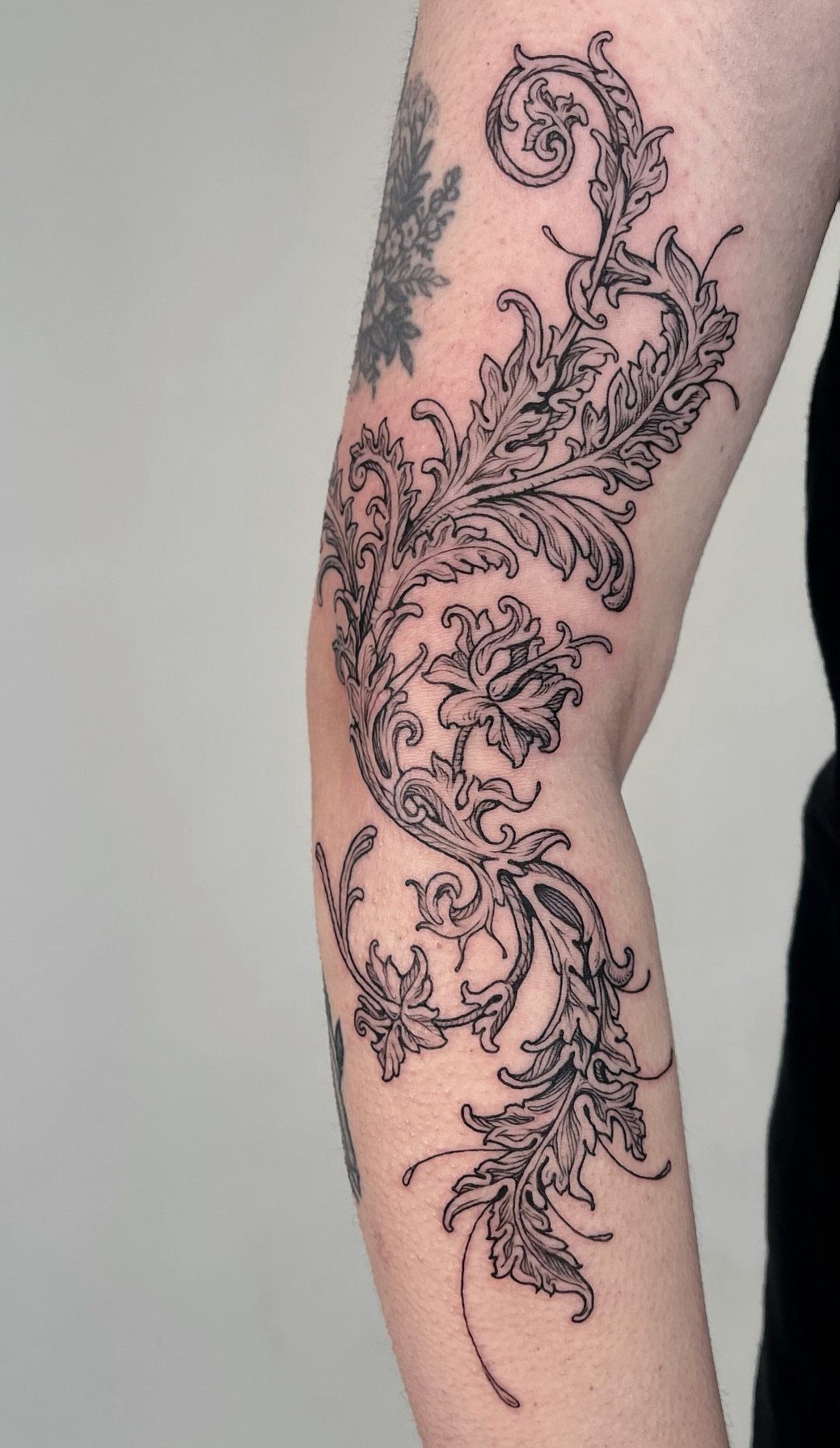 Black ink floral and acanthus leaf tattoo flowing down a person's arm.