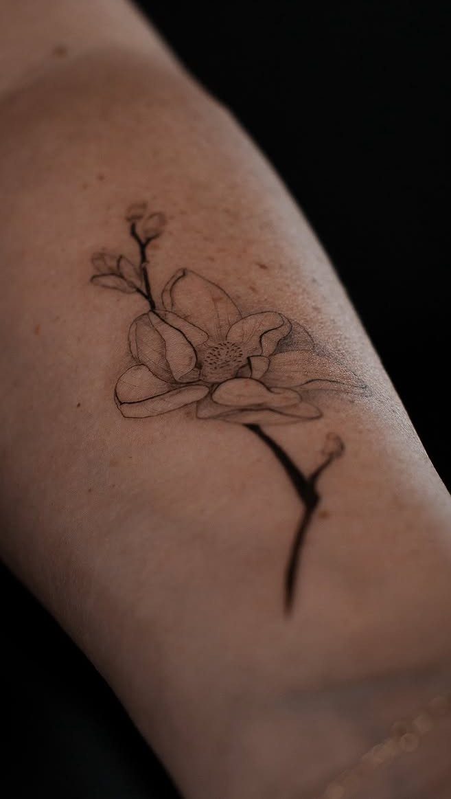 A fine line black ink magnolia branch tattoo on a person's skin.