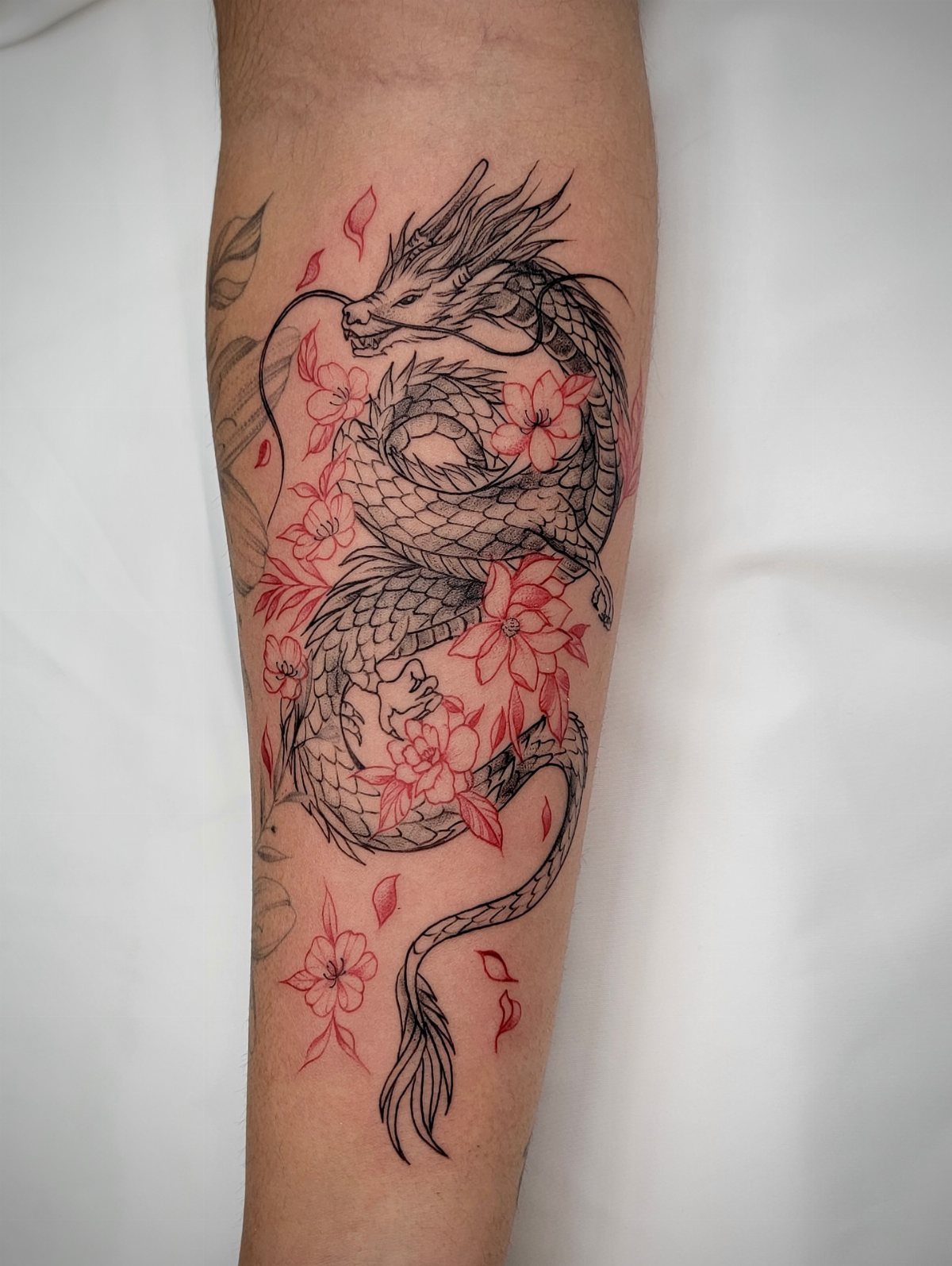 Japanese Dragon Tattoos: 19 Designs With Meaning and Style 1 A black line-art dragon tattoo with red cherry blossoms on a person's forearm.